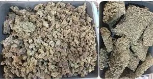 मुंबई : बैंकॉक से आए पांच यात्रियों से कुल 42.898 किलोग्राम हाइड्रोपोनिक वीड जब्त