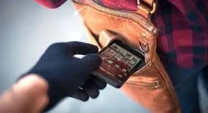 मुंबई : सनबर्न महोत्सव के दौरान मोबाइल फोन चोरी करने का आरोप; अंतरराज्यीय गिरोह के पांच सदस्य गिरफ्तार 