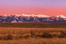 मुंबई : पब्लिक ज़मीन के मोनेटाइज़ेशन का विरोध करने वाली एक नागरिक याचिका को मिला ज़बरदस्त रिस्पॉन्स 