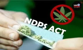 मुंबई : नारकोटिक ड्रग्स एंड साइकोट्रोपिक सब्सटेंस कोर्ट ने 130 किलोग्राम गांजा मामले में 5 लोगों को बरी किया