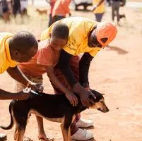 ठाणे में मिशन रेबीज़ टीम का इंतज़ार करते केयरगिवर्स 