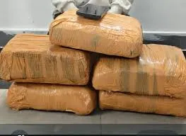 मुंबई : नए साल की पार्टी के लिए दिल्ली-मुंबई और गोवा में चरस सप्लाई करने वाला गिरफ्तार, ट्रेन से सफर करता था आरोपी