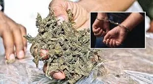 नवी मुंबई में 10 किलो गांजा के साथ दो लोग गिरफ्तार