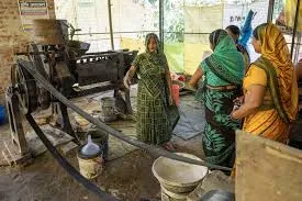 मुंबई : महिलाओं को विशेष कृषि व्यवसाय सब्सिडी मिलेगी 