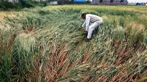 मुंबई : 17 मार्च से कई इलाकों में आंधी-तूफ़ान, बारिश और ओलावृष्टि की संभावना