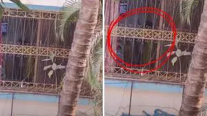 मुंबई : वृद्धाश्रम में एक बुजुर्ग महिला पर कथित तौर पर हमला