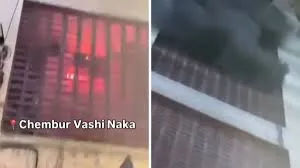 मुंबई : चेंबूर की इमारत में भीषण आग लगने के बाद 40 से ज़्यादा जानवरों को बचाया गया