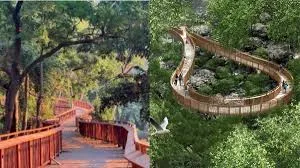 मुंबई : पर्यटकों के लिए मासिक पास शुरू; हरा-भरा मालाबार हिल वॉकवे आकर्षण का केंद्र 