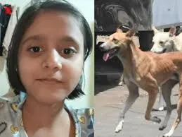 मुंबई : 6 महीने पहले कुत्ते ने बच्ची को मारी थी खरोच, इंजेक्शन के डर से मासूम ने नहीं लगवाया टीका, अब मौत