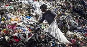 मुंबई में कागजों पर सिमटा प्लास्टिक बैन, धड़ल्ले से हो रहा इस्तेमाल; सर्वे में हुआ खुलासा