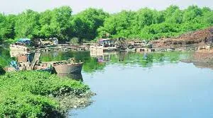 मुंबई : महाराष्ट्र प्रदूषण नियंत्रण मंडल पर सवाल, वालधुनी नदी सफाई के लिए न फंड, न योजना