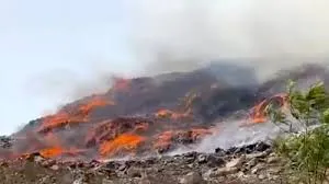 मुंबई: तुरभे डंपिंग ग्राउंड में लगी भीषण आग