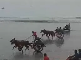 मुंबई : गोराई बीच पर एक बार फिर कानून की खुलेआम धज्जियां उड़ाने का मामला; अवैध रूप से घोड़ागाड़ी और बैलगाड़ी की रेस
