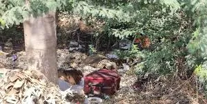 मुंबई : पहले हत्या, फिर काटा सिर, मुंबई-अहमदाबाद हाईवे के पास मिली लाश का खुलासा, बिजनेस पार्टनर ने क्यों ली जान