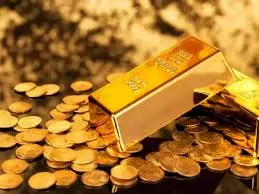 मुंबई : जूतों में छिपाकर ला रहे थे 38 करोड़ का सोना, डीआरआई ने 29 किलो गोल्ड के साथ 26 केन्याई नागरिकों को किया अरेस्ट