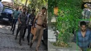 मुंबई के स्मार्ट चोर की अनोखी दुकान, कांदिवली से चुराए फल मीरा रोड पर बेचता था; पुलिस ने दबोचा