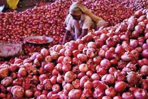 प्याज किसानों के लिए बड़ी घोषणा: ₹12.35 प्रति किलो खरीद और 30 जून से पहले कर्जमाफी का ऐलान