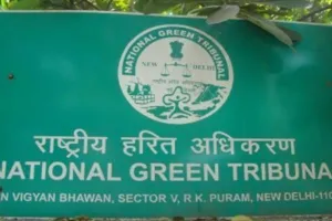 वाघिवली क्रीक पाइपलाइन परियोजना: NGT ने मछुआरा संघ को याचिका में संशोधन के निर्देश दिए