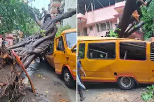  मुंबई के चेंबूर में स्कूल बस पर पेड़ गिरने से 11 साल के छात्र की मौत, चार अन्य घायल
