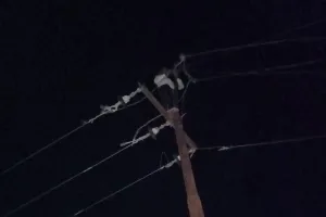 मुंबई : बिजली के खंभे से बोल्ट और तांबे के तार चोरी... 3 करोड़ की संपत्ति पर चोरों का हाथ साफ