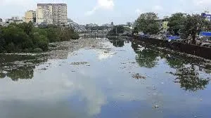 मुंबई : करोड़ों खर्च हुए, पर नहीं बदला मुंबई की मीठी नदी का भाग्य, अब भी भरी खर-पतवार, प्लास्टिक और कचरा