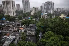 मुंबई: धारावी प्रोजेक्ट के लिए पेड़ हटाने का प्रस्ताव अथॉरिटी को सौंपा; क्या 8000 पेड़ काटे जाएंगे? 