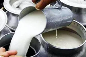 मुंबईकरों के बजट पर महंगाई की नई मार, 1 सितंबर से दूध के थोक भाव में ₹9 की बड़ी बढ़ोतरी