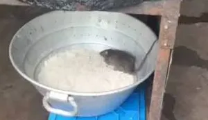 नालासोपारा में तबेला चहा-जमजम बिरयानी आउटलेट का वीडियो वायरल, खाने के बीच चूहा दिखने का दावा