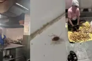  कोलाबा : 108 साल पुराने ओलंपिया कॉफी हाउस का लाइसेंस सस्पेंड... किचन में यूरिनल, फ्रिज में मीट का खून और कॉकरोच भी मिले