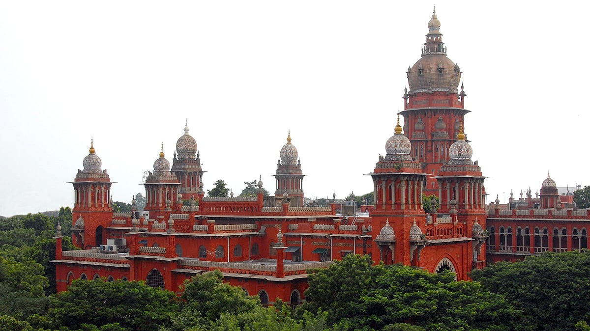 माहिम के लूनवाड़ा मेंशन के निवासी चिंतित: खतरनाक पेड़ों को काटने की BMC से तत्काल मांग
